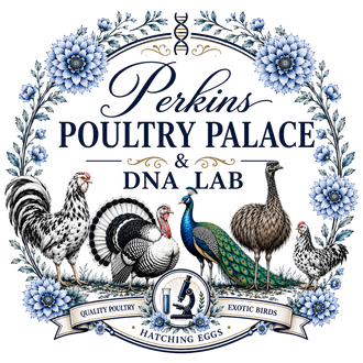 Perkins Poultry Palace & DNA Lab