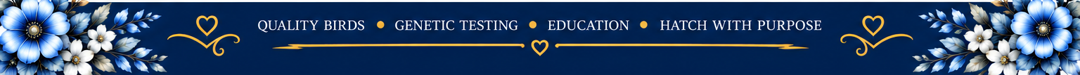 Quality Birds • Genetic Testing • Education • Hatch With Purpose